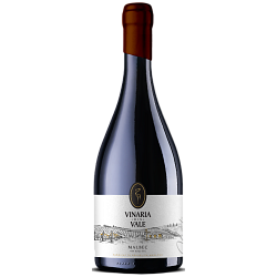Vinaria din Vale, Vintage, Malbec, 	Moldova