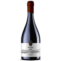 Vinaria din Vale, Vintage, Saperavi, Moldova
